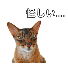 [LINEスタンプ] ❤︎ねこのBONAにゃん❤︎ Season9