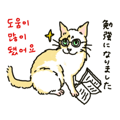 [LINEスタンプ] うちの猫と韓国語3（日本語訳あり）