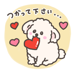 [LINEスタンプ] 毎日使える！白いもこもこプードルちゃん