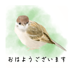 [LINEスタンプ] ぴよの絵にっき 14