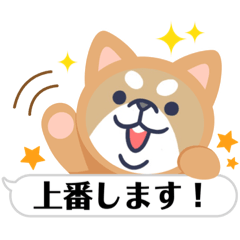 [LINEスタンプ] 安全柴太郎1