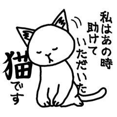 [LINEスタンプ] チロ スタンプ 第1弾