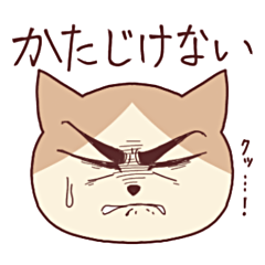 [LINEスタンプ] 顔芸にゃんこ