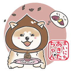 [LINEスタンプ] 秋田犬 あきたちゃんの秋2023