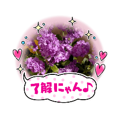 [LINEスタンプ] HANABILOVE