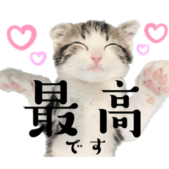 [LINEスタンプ] かわいい敬語のねこ 桜太郎1