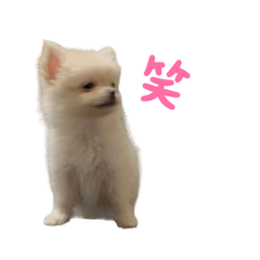 [LINEスタンプ] こなつstamp①