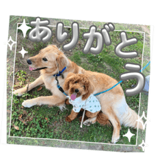 [LINEスタンプ] マルプーのモブ3