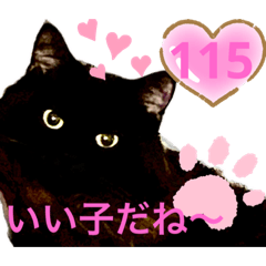 [LINEスタンプ] 黒猫 ルナ院長115にゃんめ