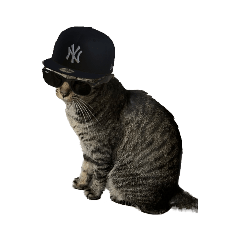 [LINEスタンプ] ネツコ