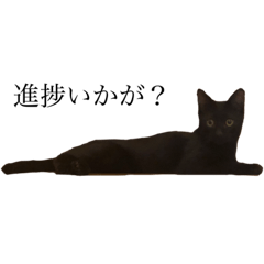 [LINEスタンプ] まぐ 5ヶ月