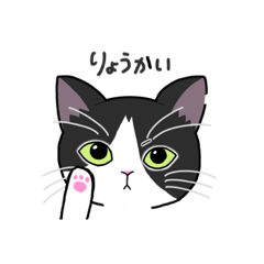 [LINEスタンプ] 白黒ハチワレづくし vol.1