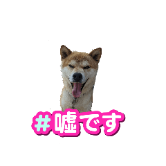 [LINEスタンプ] 犬をドッグに