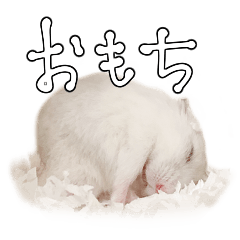 [LINEスタンプ] ハムスターおもちの日々