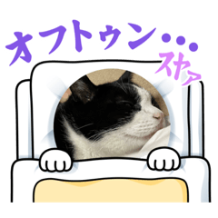 [LINEスタンプ] ハチワレめいちゃん57
