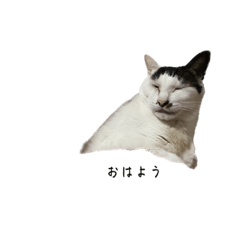 [LINEスタンプ] おにぎり、時々チビ