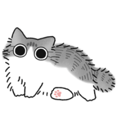 [LINEスタンプ] ねこぽっくる長毛サバ白【文字なし】