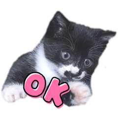 [LINEスタンプ] ラルフいつかまた。