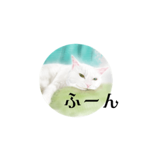 [LINEスタンプ] 犬⭐︎猫⭐︎ウサギ かわいい〜〜stamp