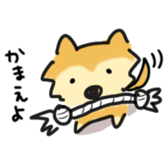 [LINEスタンプ] 柴犬ムクちゃんスタンプ