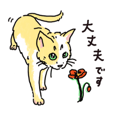 [LINEスタンプ] 心を伝える言葉をうちの猫が呟きます