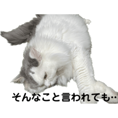 [LINEスタンプ] tama-mi②-tama