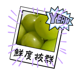 [LINEスタンプ] 秋の味覚シャインマスカット葡萄スタンプ16