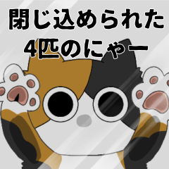 [LINEスタンプ] 閉じ込められた4匹のにゃー