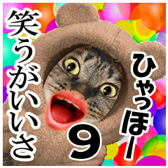 [LINEスタンプ] ★リアルキジトラ★笑える猫写真9(修正版)