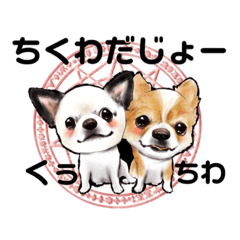 [LINEスタンプ] ちわわせ★ちくわのスタンプ②