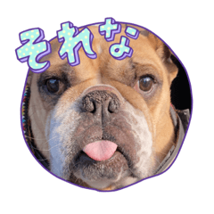 [LINEスタンプ] チーム花