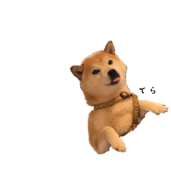 [LINEスタンプ] てら①