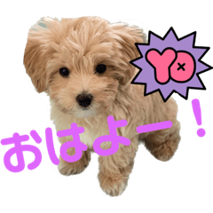 [LINEスタンプ] 鶴岡犬