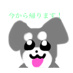 [LINEスタンプ] 飼い犬 ラヴちゃん