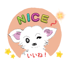 [LINEスタンプ] whiteチワワんこ 犬の日！