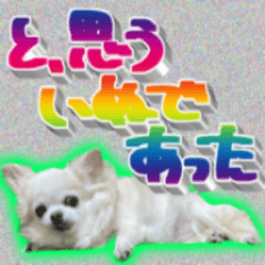 [LINEスタンプ] ナイスいぬ