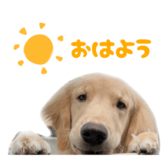 [LINEスタンプ] てんぷら日記