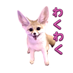 [LINEスタンプ] 可愛いフェネックバニラファミリー