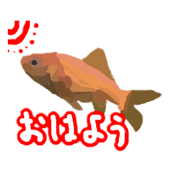 [LINEスタンプ] ごく普通の金魚スタンプ