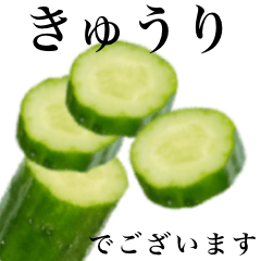 [LINEスタンプ] 【敬語】きゅうりです キュウリ 野菜