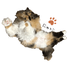 [LINEスタンプ] ぶさかわきなこちゃん 4