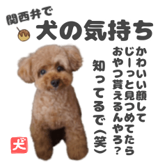 [LINEスタンプ] 関西弁で犬の気持ち。（笑）トイプードルの画像（メイン）