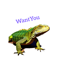 [LINEスタンプ] イグアナ iguana.