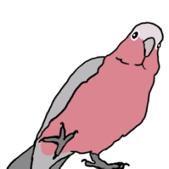 [LINEスタンプ] 動く♪モモイロインコ