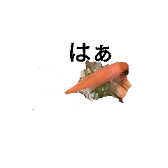 [LINEスタンプ] 金魚の使えるスタンプ