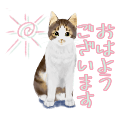 [LINEスタンプ] うちの猫(コ)みつけた♪ていねいなスタンプ