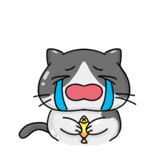 [LINEスタンプ] 死んだフィッシュアイキャットの無駄な人生