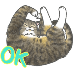 [LINEスタンプ] ねこ猫しぐさ