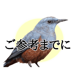 [LINEスタンプ] 敬語の鳥さんスタンプ