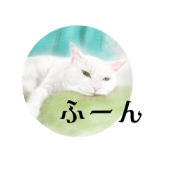 [LINEスタンプ] 犬⭐︎猫⭐︎ウサギ かわいい〜〜スタンプ